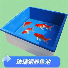 玻璃钢养殖水槽与孵化桶 现代水产养殖的高效解决方案